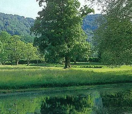Bed & Breakfast Chateau De Sedaiges Marmanhac